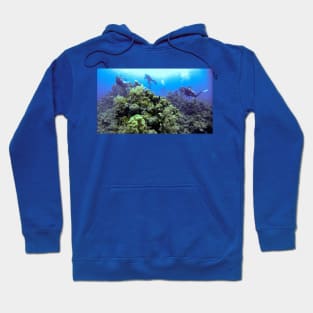 THE DIVE GUIDE Hoodie